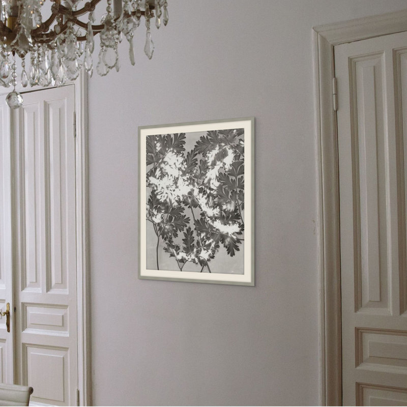 Plants & Flowers Print by Darrell Kincer, 27.75" H x 22.75" W