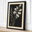 Stems Study Botanical - Wrapped Canvas-146079460-146079462