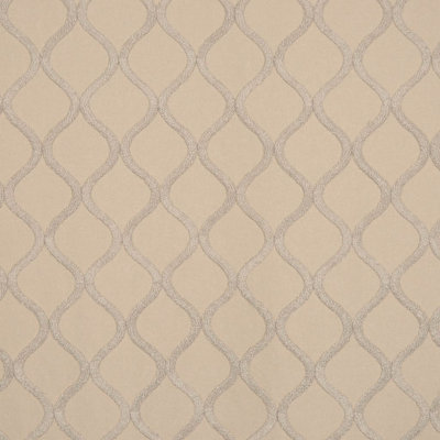 Allure Fabric