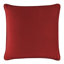 Sparkles Home Coordinating Throw Pillow | Polyester Cover & Feather Fill | Soft & Luxurious - 4 Sizes-1727705321-1676422599