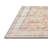 Oriental Indoor Rug-1673541571