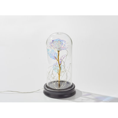 Darrah Landscape & Nature Cloche Or Water Globe