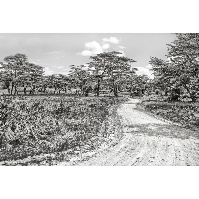 No Frame Print on Canvas, 61cm H x 91cm W x 3.8cm D