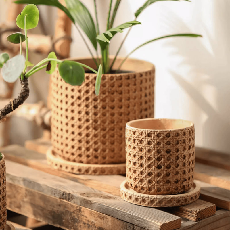 Briony Pot Planter
