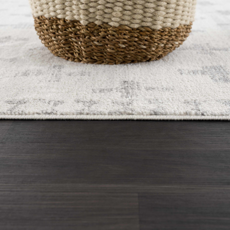 Dounia Transitional Performance Gray Area Rug, Rectangle 9' x 12'