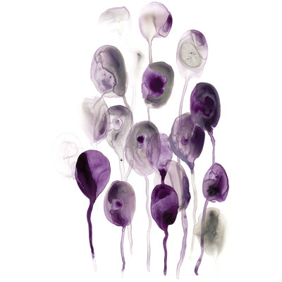 Gousses de prune II