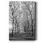 Pier a Park - reproduction de photo sur toile tendue-495415042