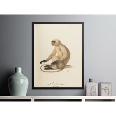 Babb Print