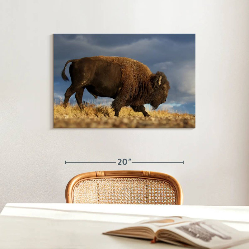Brampt Walking American Bison, 16" H x 24" W