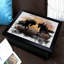 Breakfast Tray