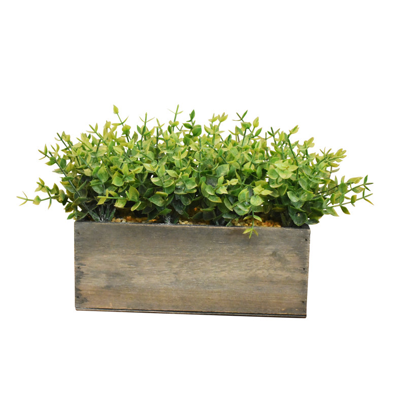 Centre de table buis 7 "en bois rustique