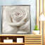Dreamy II - peinture à cadre flottant sur toile-801142904