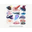 Wall Decals-726463898