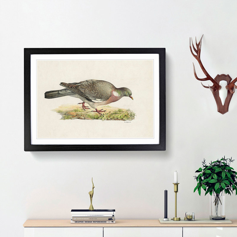 Common Wood Pigeon by Von Wright - Picture Frame Painting Print on MDF, Black Framed, 27cm H x 36cm W x 2cm D