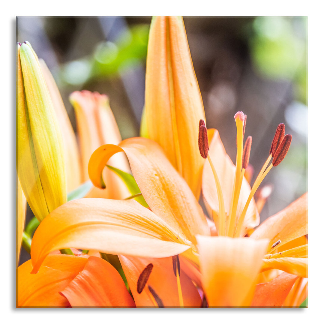 Glasbild Beautiful, Orange Lilies