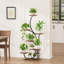 Multiple Plants Metal Flower Display Shelves Plant Rack Holder