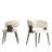 Cathelijn Lukas 2-Piece Set Chair-1688090077