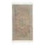 Cotton Oriental Area Rug in Tamarind