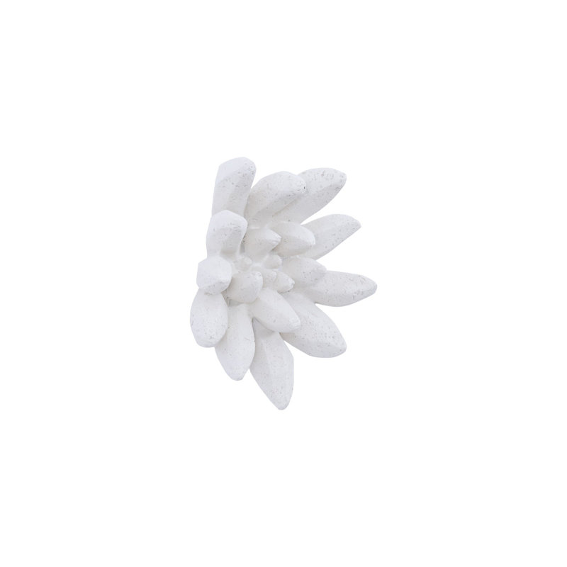 Compactum Succulent Wall Art, White