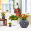 Pot Planter-332018650-393093553