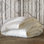 Rhapsody Luxe 650 Summer Down Comforter