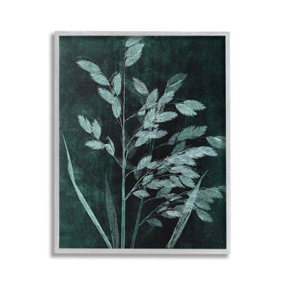 Bd-168_FG "" Green Botanical Imprints Single Picture Frame "" by Pernille Folcarelli on Canvas -  Stupell Industries, bd-168_gff_16x20