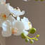 Ornements de fleurs simulées