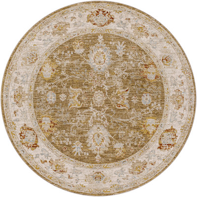 Finnlagh Oriental Indoor Rug