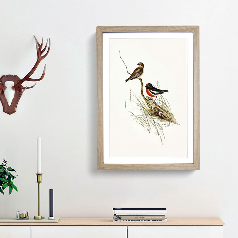 Red-Capped Robin by Elizabeth Gould - Picture Frame Painting Print, 65cm H x 48cm W x 2cm D, Oak Framed