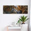 "Tigers Sleep" par Murray Henderson Fine Art-1173734891