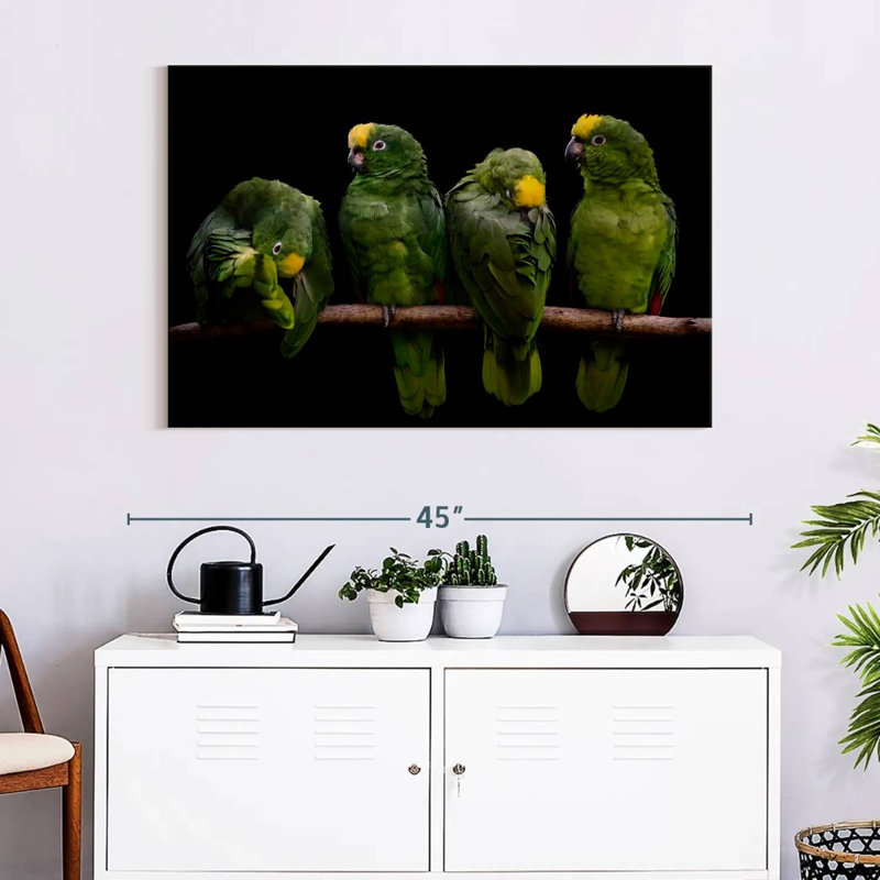 Yellow Crowned Parrots