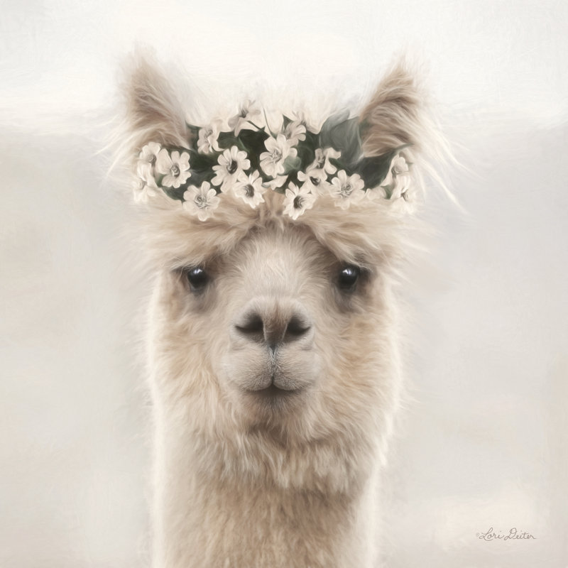 «Alpaca with Flowers» par Lori Deiter, peinture, Toile argentée avec cadre flottant, Non, H 36 po x l 36 po