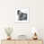 White Framed Paper is unavailable