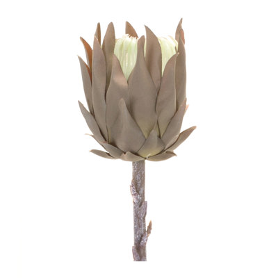 Protea Arrangement