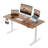Electric Height Adjustable Standing Desk with Round Tube Column-979077955-979077952