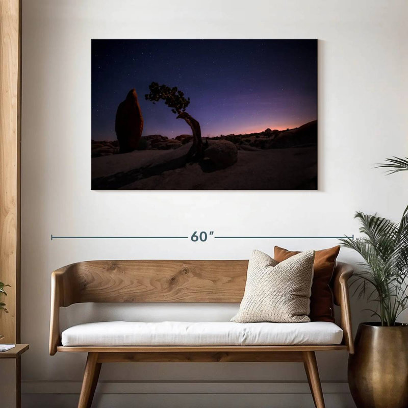Nicci Joshua Tree, paysage nocturne, H 30 po x l 45 po
