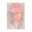 Art sur toile «bolice Eva Galonska Bacrtiger»-105646792