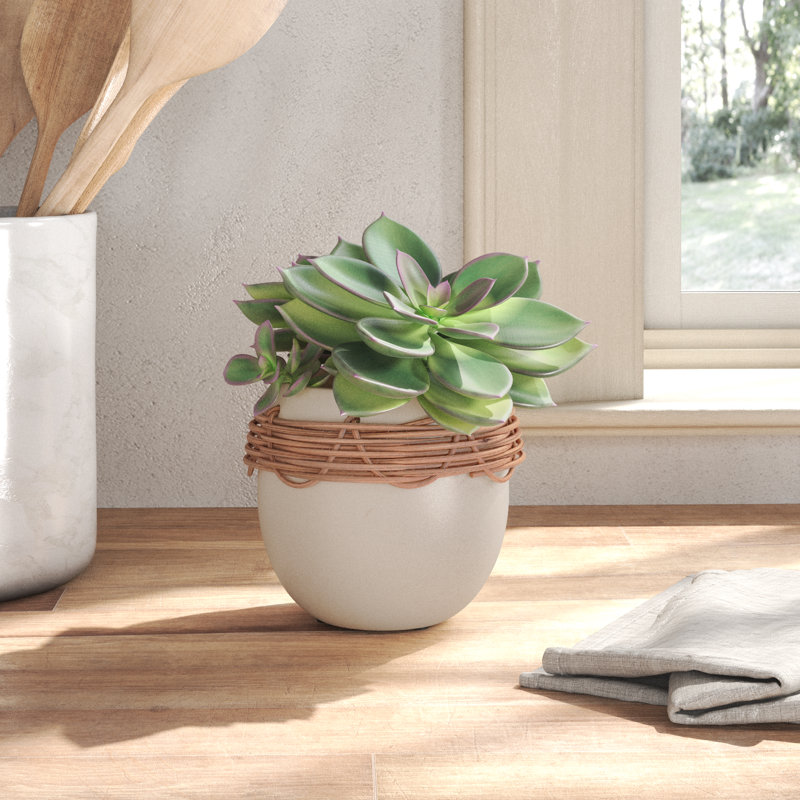 Beth Pot Planter