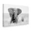 «Stay Away» par John Fan - reproduction de photo sur toile-1658986203