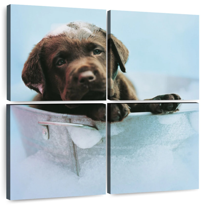 Brampt Beau The Dog, 45" H x 45" W