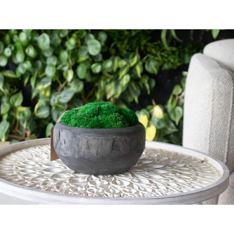 Centre de table décoratif en mousse Symbiotikwalls | Cadeau unique et décoration de table naturelle, Black