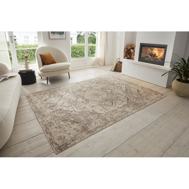 Terrain Beige/Brown Rug, Rectangle 200cm x 280cm