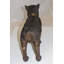 Statue de chien Kerensa Terrier