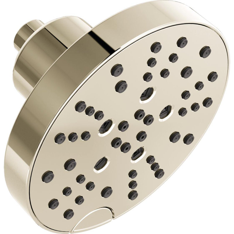 Multi-Function Adjustable Shower Head, Polished Nickel