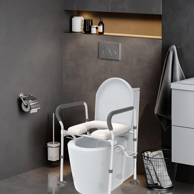 Toilet Safety Frame