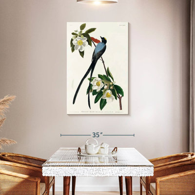 Brampt Fork-Tailed Flycatcher