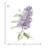 Plants & Flowers Non-Wall Damaging Wall Decal