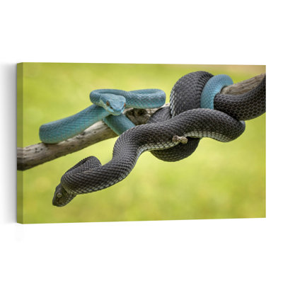 Blue And Black Vipers Abstract Contemporary Snake Forest Nature Wall Art Print by Hendy Mp - Print