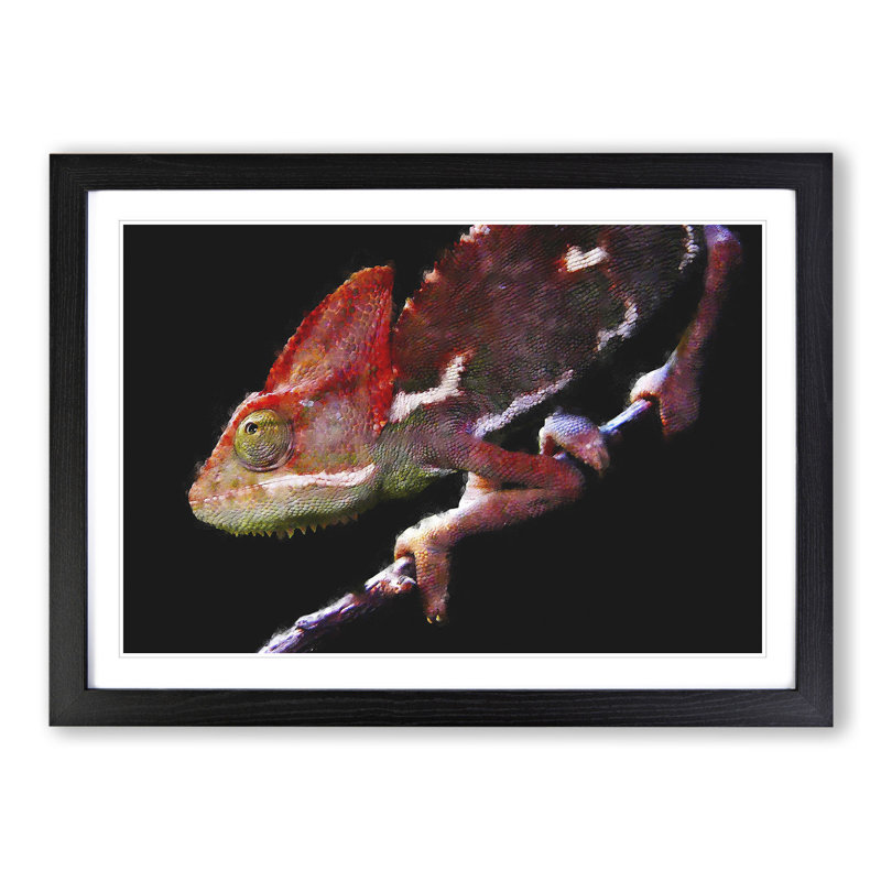 Chameleon Lizard Vol.2 - Framed Print, 27cm H x 36cm W x 2cm D, Black Framed