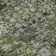Premium Machine Washable Cerrito Green Rug
